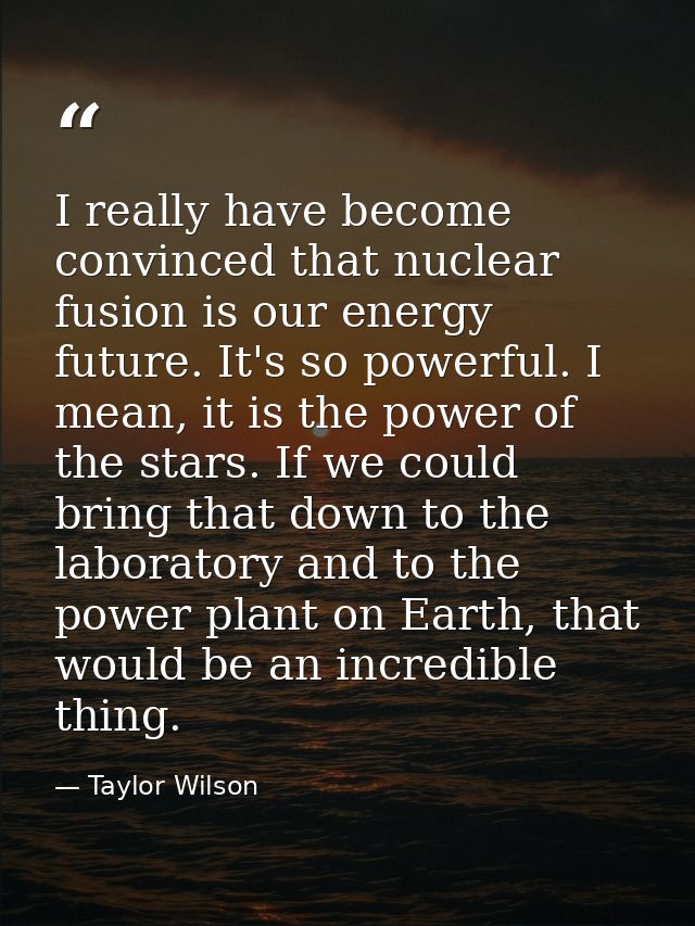 I really have become convinced that nuclear fusion is our energy future. It's so powerful. I mean, it is the power of th — Taylor Wilson