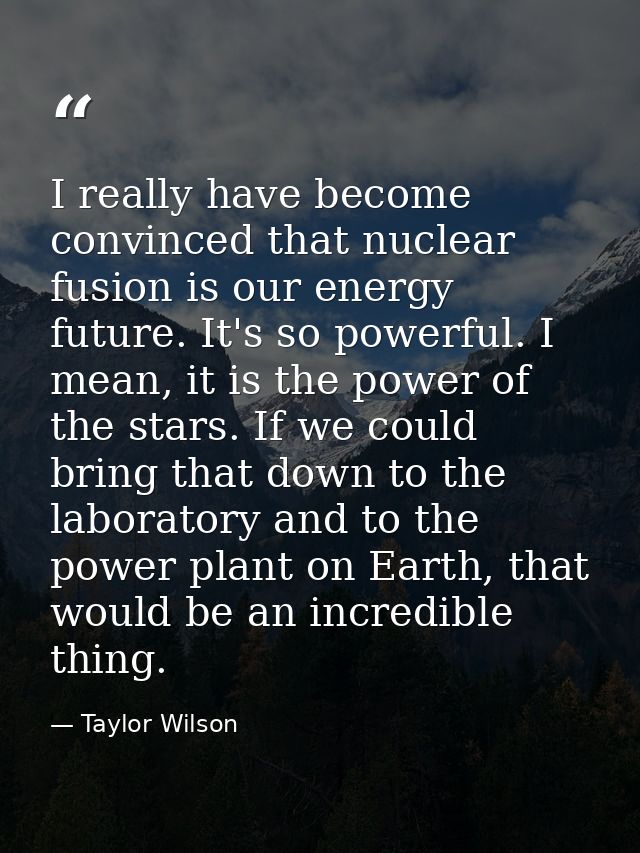 I really have become convinced that nuclear fusion is our energy future. It's so powerful. I mean, it is the power of th — Taylor Wilson