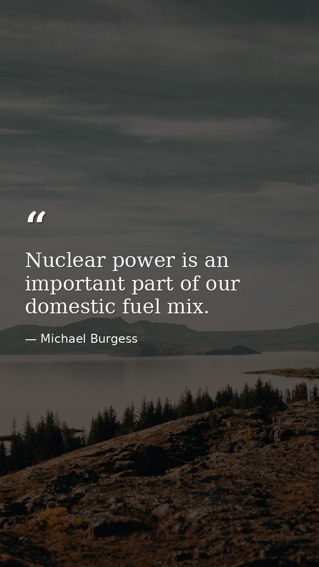 Nuclear power is an important part of our domestic fuel mix. — Michael Burgess