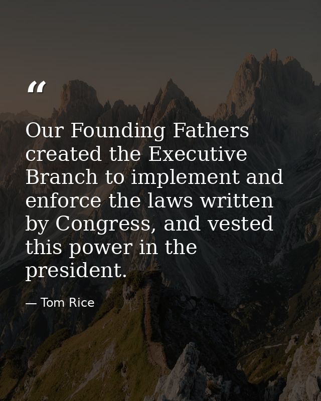 Our Founding Fathers created the Executive Branch to implement and enforce the laws written by Congress, and vested this — Tom Rice