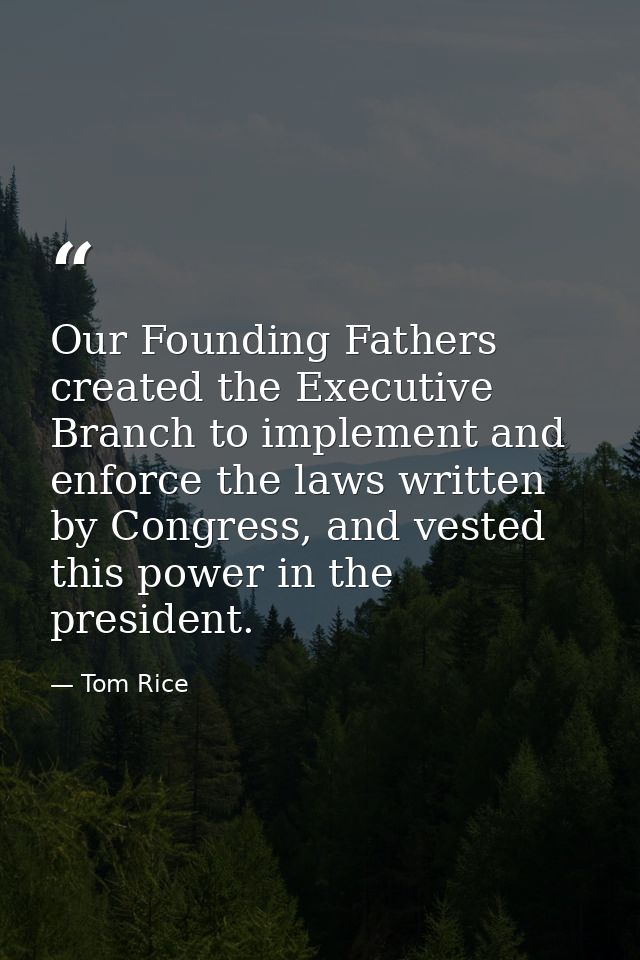 Our Founding Fathers created the Executive Branch to implement and enforce the laws written by Congress, and vested this — Tom Rice