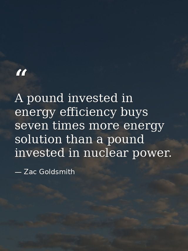 A pound invested in energy efficiency buys seven times more energy solution than a pound invested in nuclear power. — Zac Goldsmith