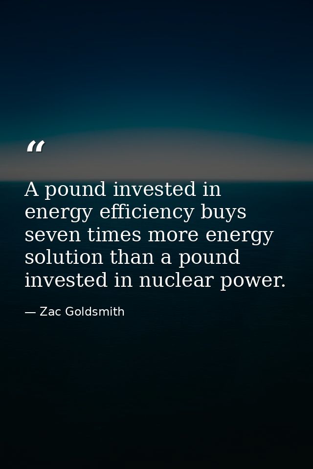 A pound invested in energy efficiency buys seven times more energy solution than a pound invested in nuclear power. — Zac Goldsmith