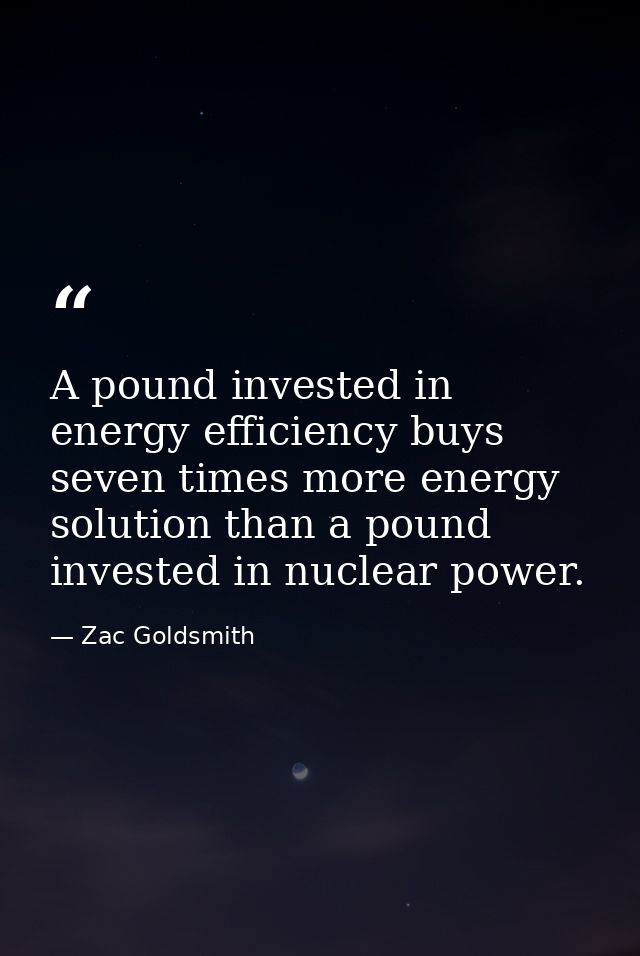 A pound invested in energy efficiency buys seven times more energy solution than a pound invested in nuclear power. — Zac Goldsmith