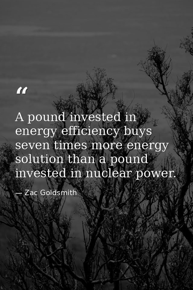 A pound invested in energy efficiency buys seven times more energy solution than a pound invested in nuclear power. — Zac Goldsmith