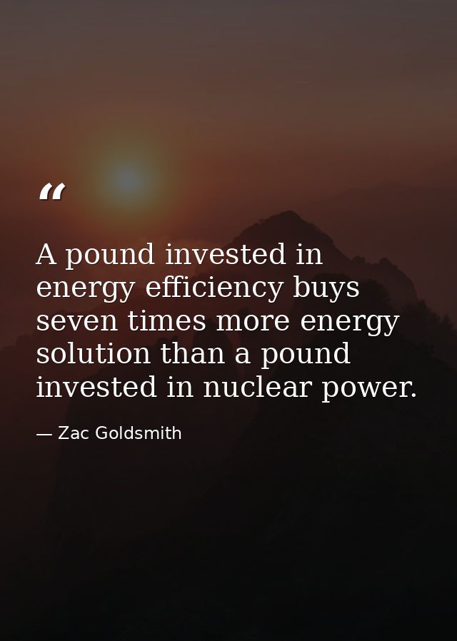 A pound invested in energy efficiency buys seven times more energy solution than a pound invested in nuclear power. — Zac Goldsmith
