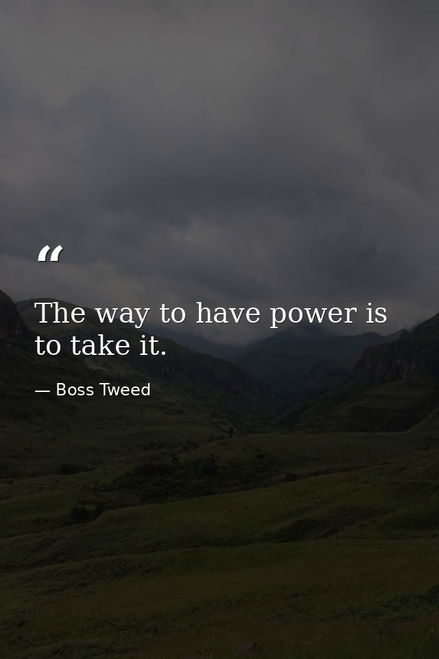 The way to have power is to take it. — Boss Tweed