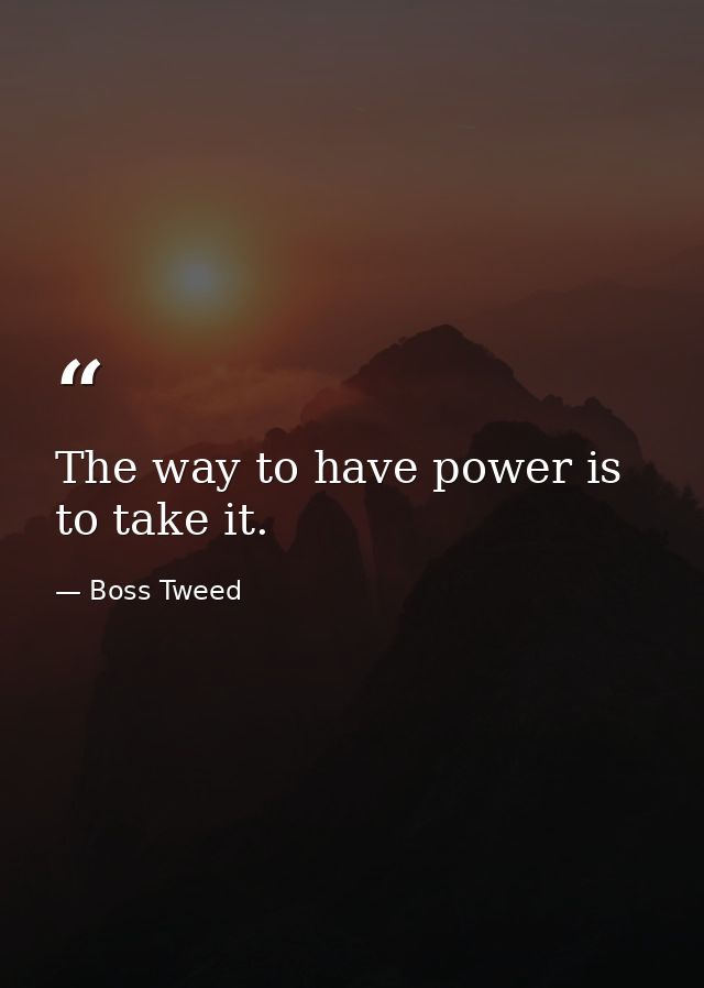 The way to have power is to take it. — Boss Tweed