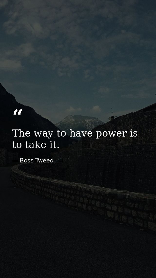 The way to have power is to take it. — Boss Tweed