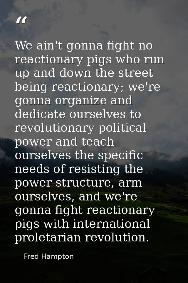 We ain't gonna fight no reactionary pigs who run up and down the street being reactionary; we're gonna organize and dedi — Fred Hampton