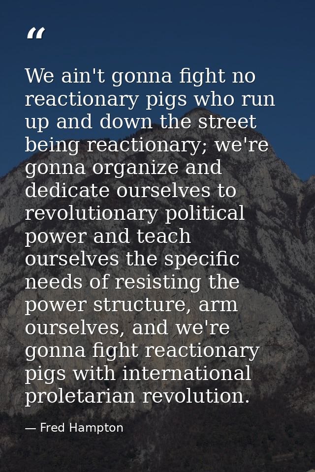 We ain't gonna fight no reactionary pigs who run up and down the street being reactionary; we're gonna organize and dedi — Fred Hampton