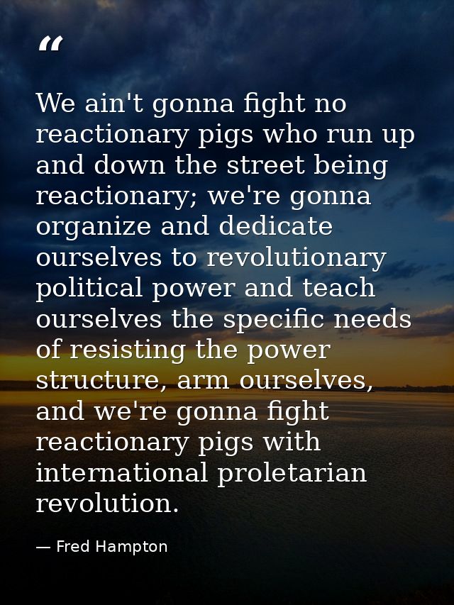 We ain't gonna fight no reactionary pigs who run up and down the street being reactionary; we're gonna organize and dedi — Fred Hampton