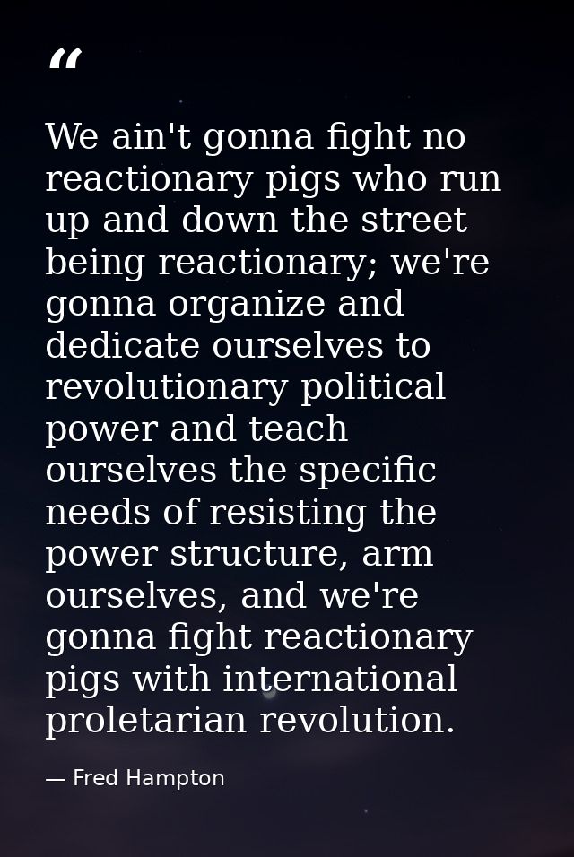 We ain't gonna fight no reactionary pigs who run up and down the street being reactionary; we're gonna organize and dedi — Fred Hampton