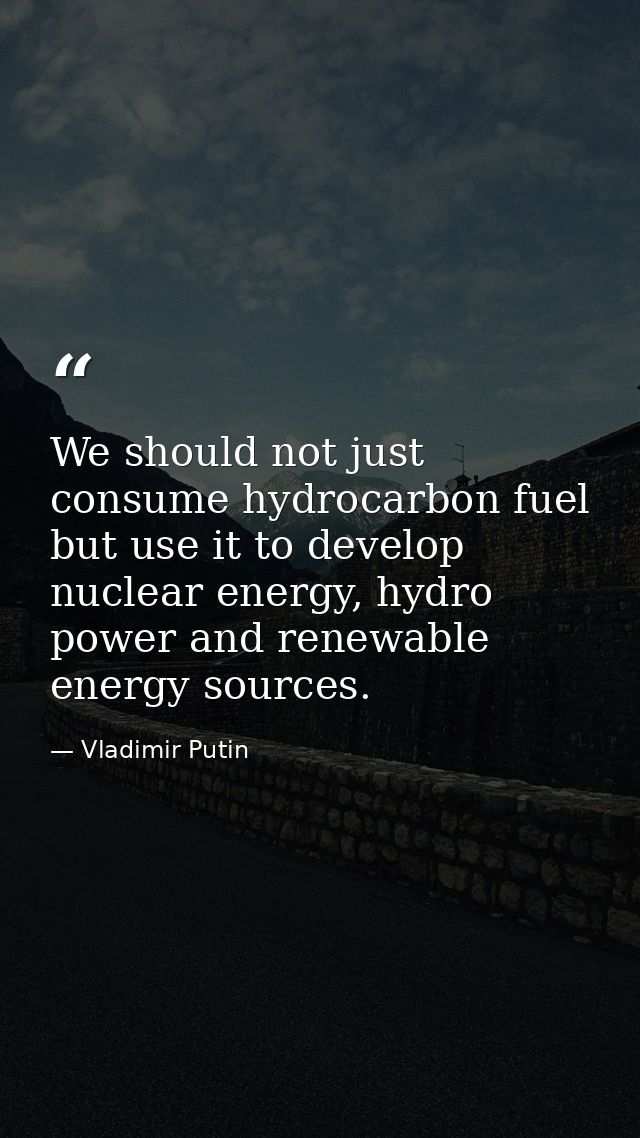 We should not just consume hydrocarbon fuel but use it to develop nuclear energy, hydro power and renewable energy sourc — Vladimir Putin