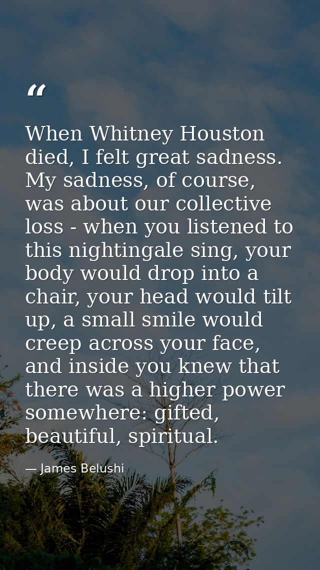 When Whitney Houston died, I felt great sadness. My sadness, of course, was about our collective loss - when you listene — James Belushi