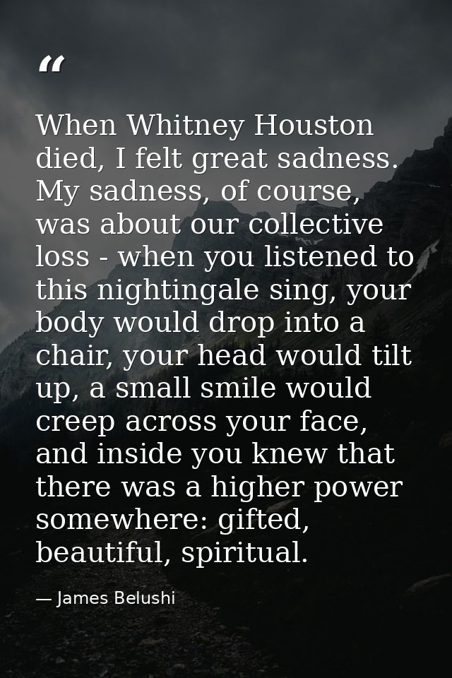 When Whitney Houston died, I felt great sadness. My sadness, of course, was about our collective loss - when you listene — James Belushi
