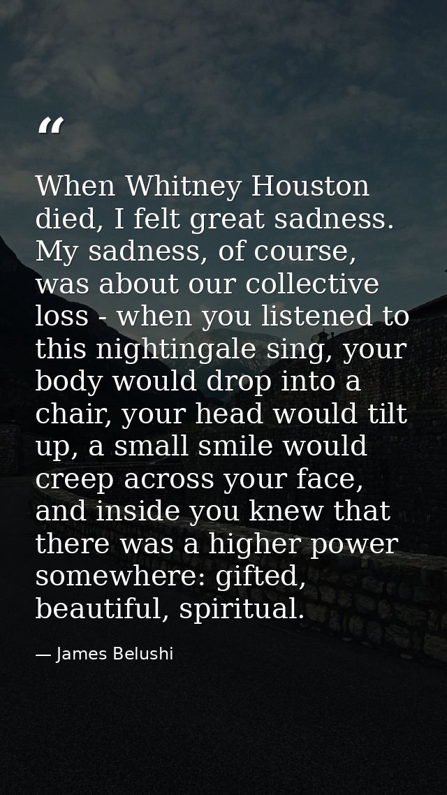 When Whitney Houston died, I felt great sadness. My sadness, of course, was about our collective loss - when you listene — James Belushi