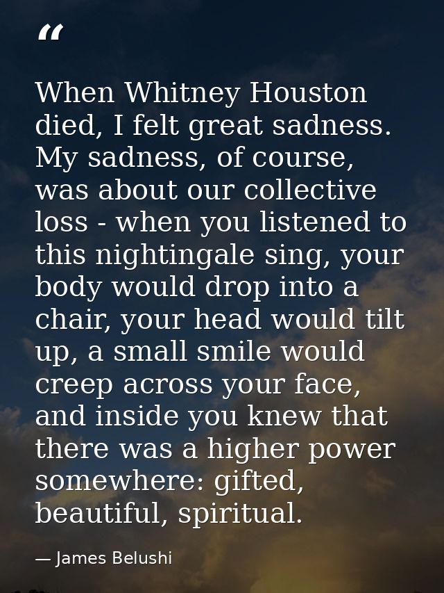When Whitney Houston died, I felt great sadness. My sadness, of course, was about our collective loss - when you listene — James Belushi