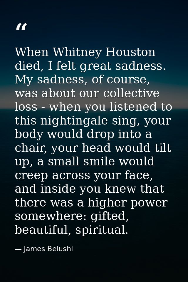 When Whitney Houston died, I felt great sadness. My sadness, of course, was about our collective loss - when you listene — James Belushi