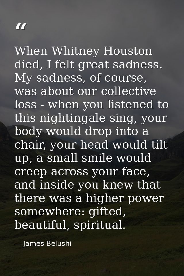 When Whitney Houston died, I felt great sadness. My sadness, of course, was about our collective loss - when you listene — James Belushi