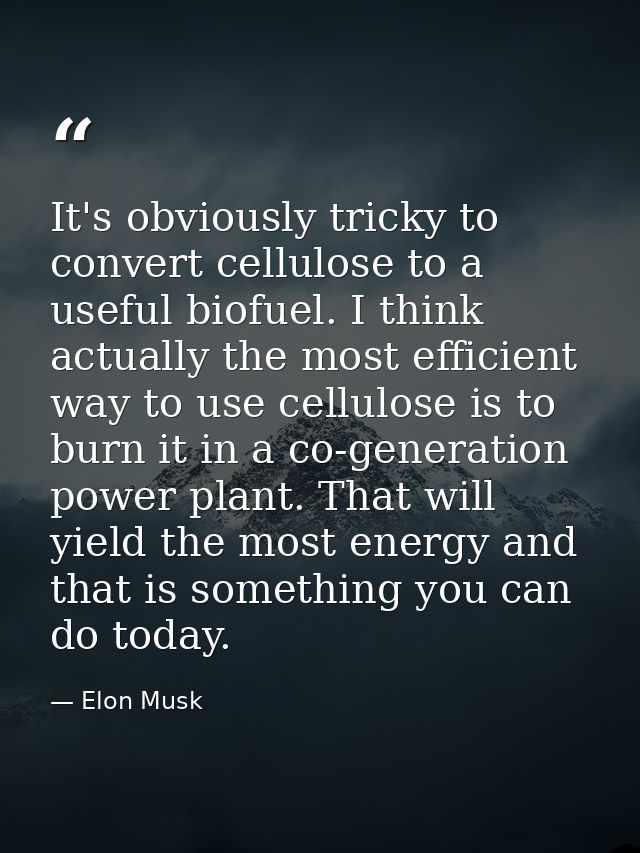It's obviously tricky to convert cellulose to a useful biofuel. I think actually the most efficient way to use cellulose — Elon Musk