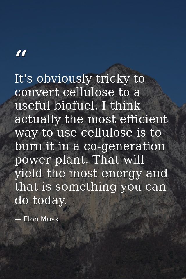 It's obviously tricky to convert cellulose to a useful biofuel. I think actually the most efficient way to use cellulose — Elon Musk