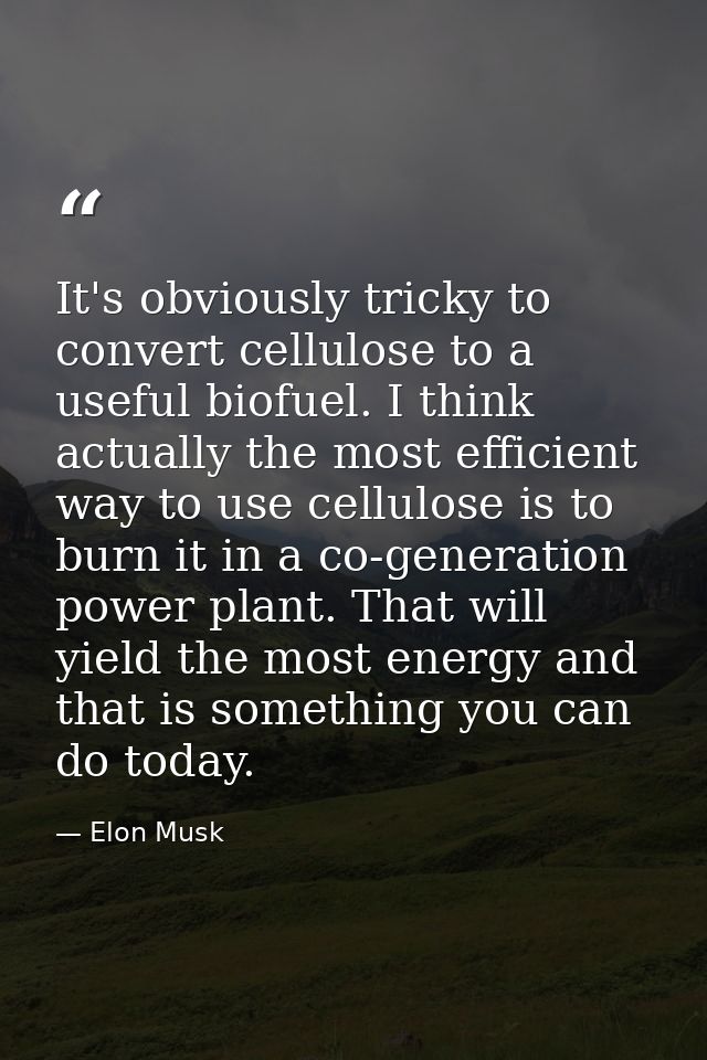 It's obviously tricky to convert cellulose to a useful biofuel. I think actually the most efficient way to use cellulose — Elon Musk