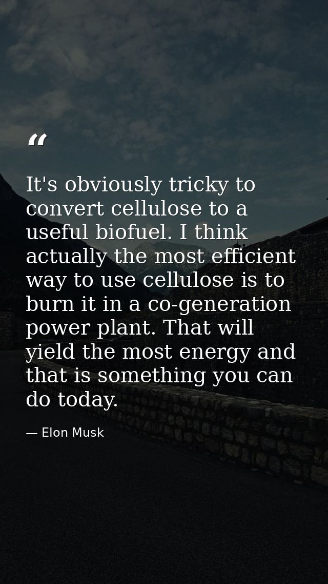 It's obviously tricky to convert cellulose to a useful biofuel. I think actually the most efficient way to use cellulose — Elon Musk