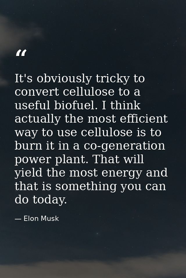 It's obviously tricky to convert cellulose to a useful biofuel. I think actually the most efficient way to use cellulose — Elon Musk