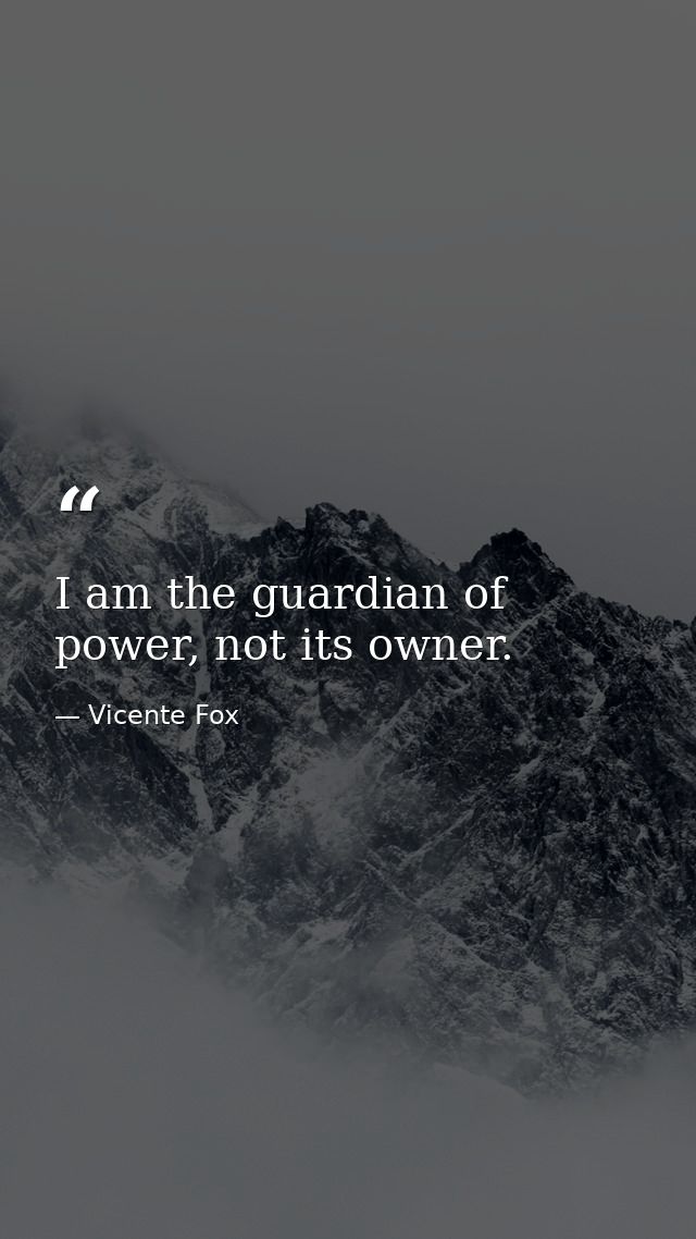 I am the guardian of power, not its owner. — Vicente Fox
