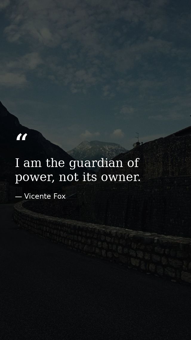 I am the guardian of power, not its owner. — Vicente Fox