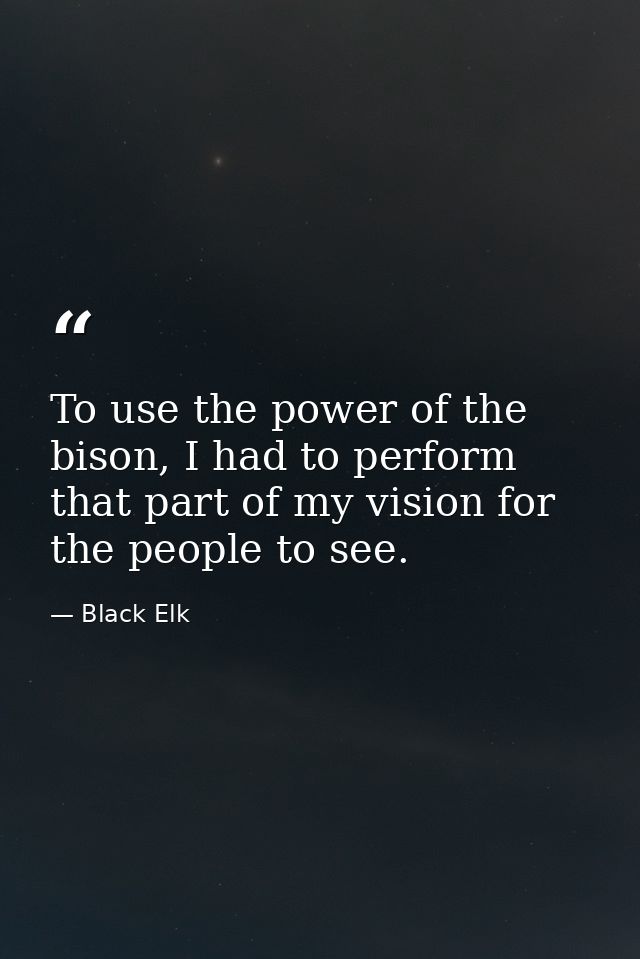 To use the power of the bison, I had to perform that part of my vision for the people to see. — Black Elk