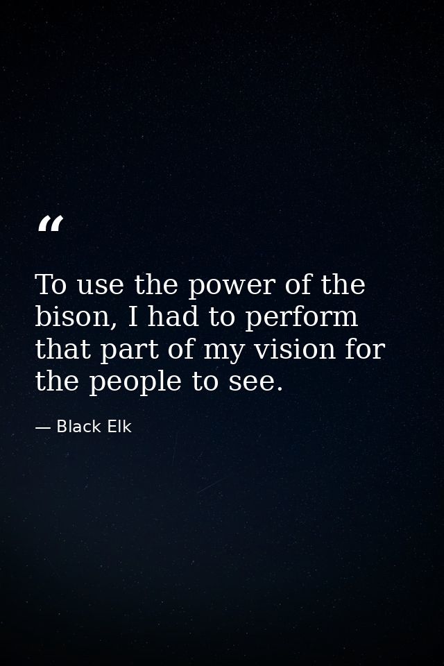 To use the power of the bison, I had to perform that part of my vision for the people to see. — Black Elk