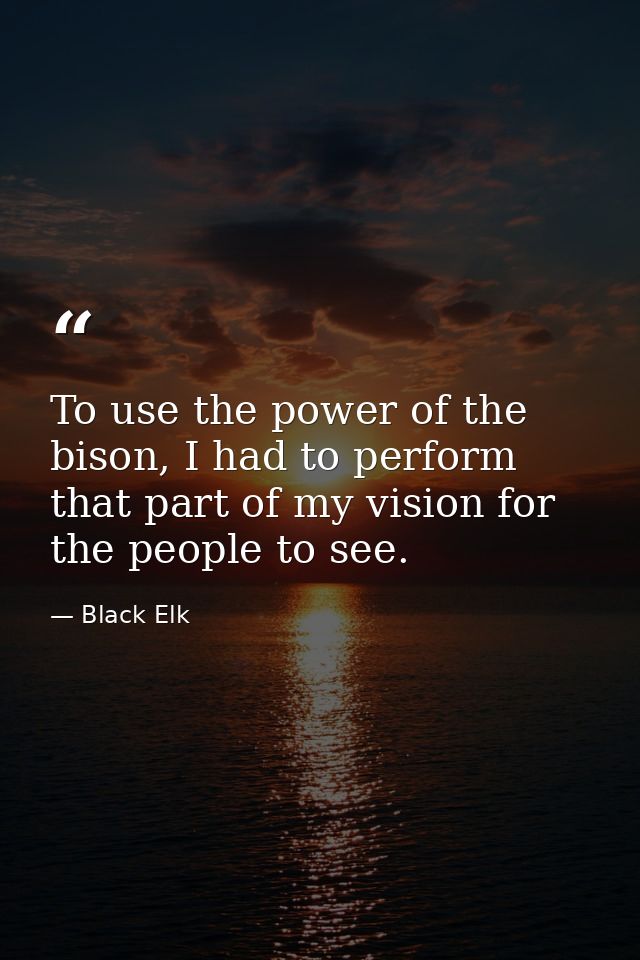 To use the power of the bison, I had to perform that part of my vision for the people to see. — Black Elk