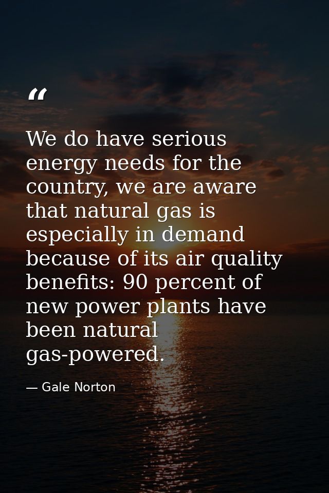 We do have serious energy needs for the country, we are aware that natural gas is especially in demand because of its ai — Gale Norton