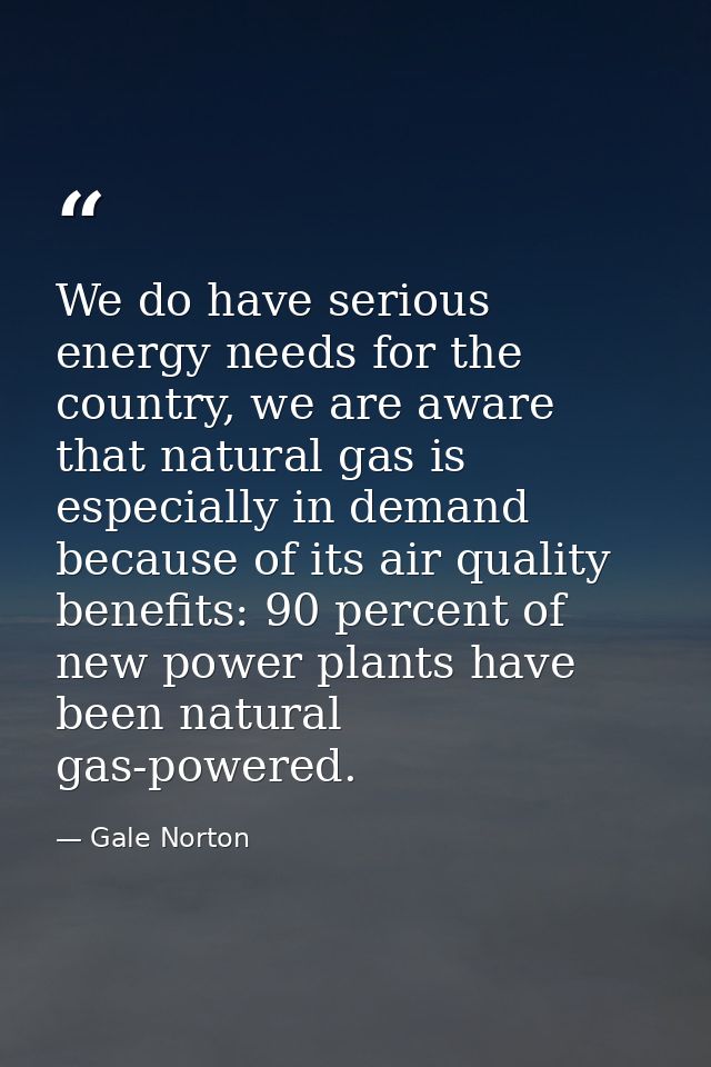 We do have serious energy needs for the country, we are aware that natural gas is especially in demand because of its ai — Gale Norton