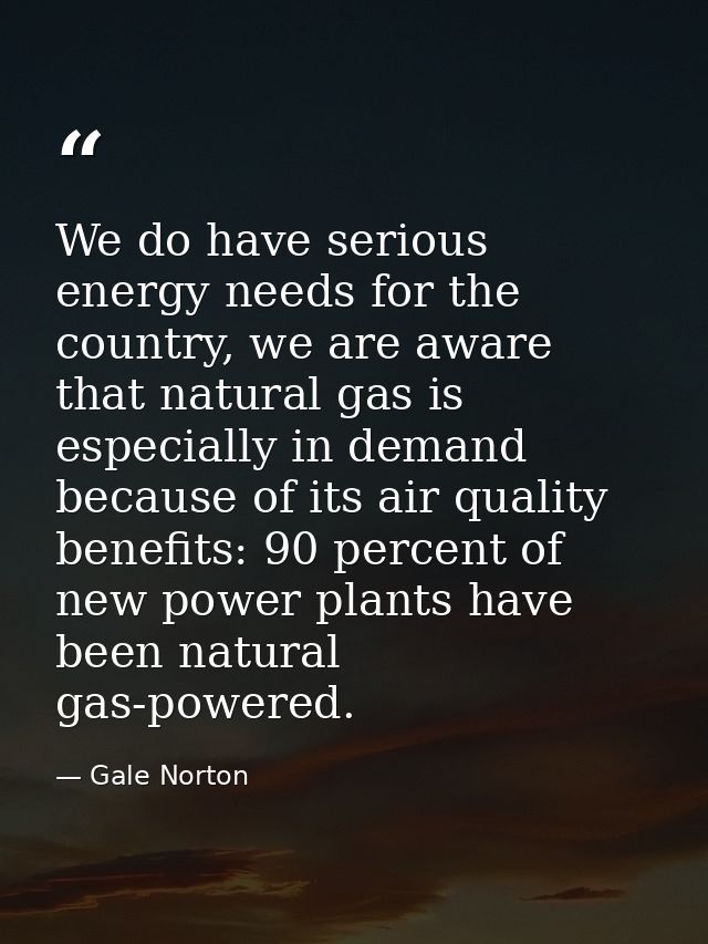 We do have serious energy needs for the country, we are aware that natural gas is especially in demand because of its ai — Gale Norton