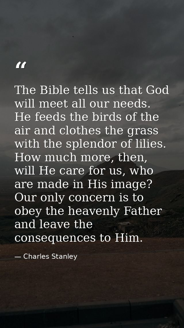 The Bible tells us that God will meet all our needs. He feeds the birds of the air and clothes the grass with the splend — Charles Stanley