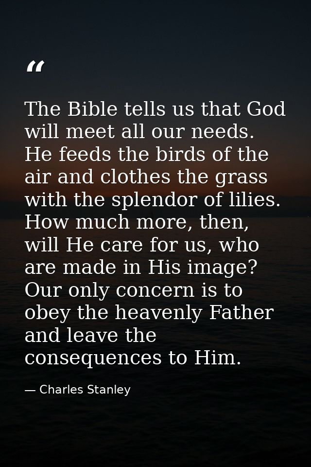 The Bible tells us that God will meet all our needs. He feeds the birds of the air and clothes the grass with the splend — Charles Stanley