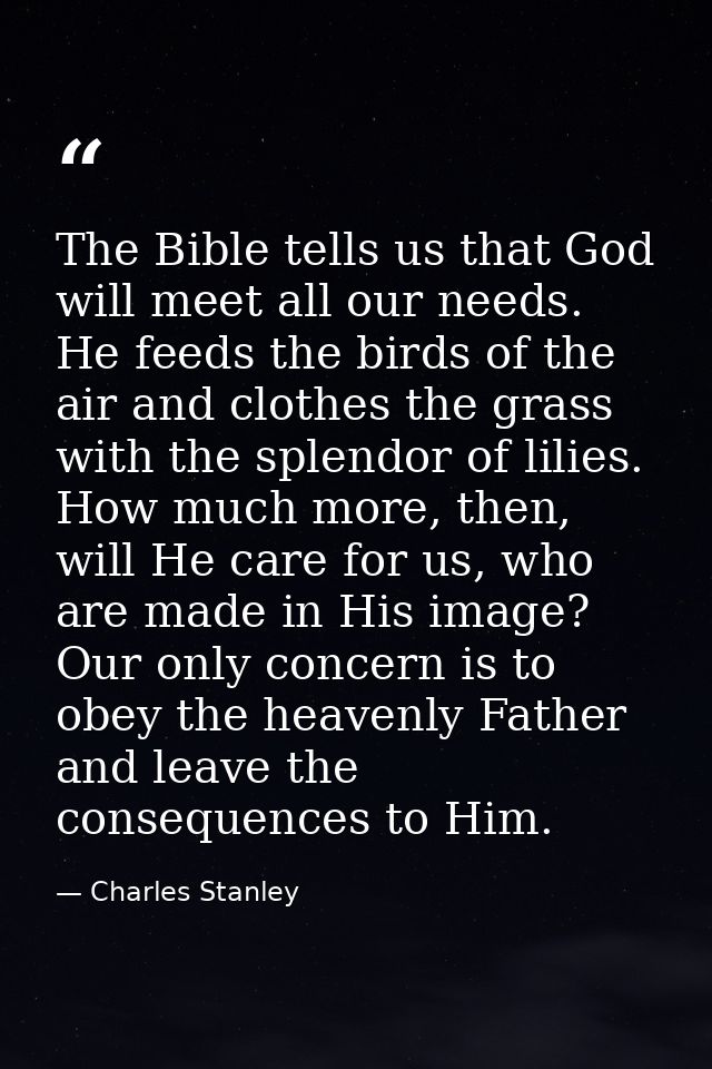 The Bible tells us that God will meet all our needs. He feeds the birds of the air and clothes the grass with the splend — Charles Stanley