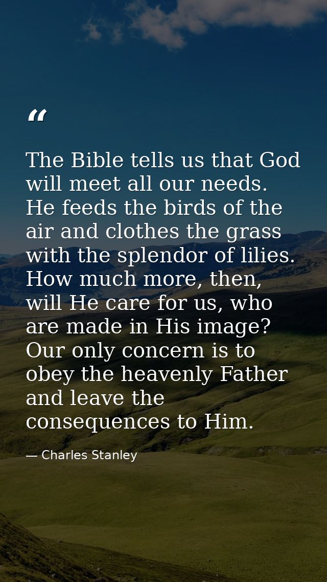 The Bible tells us that God will meet all our needs. He feeds the birds of the air and clothes the grass with the splend — Charles Stanley