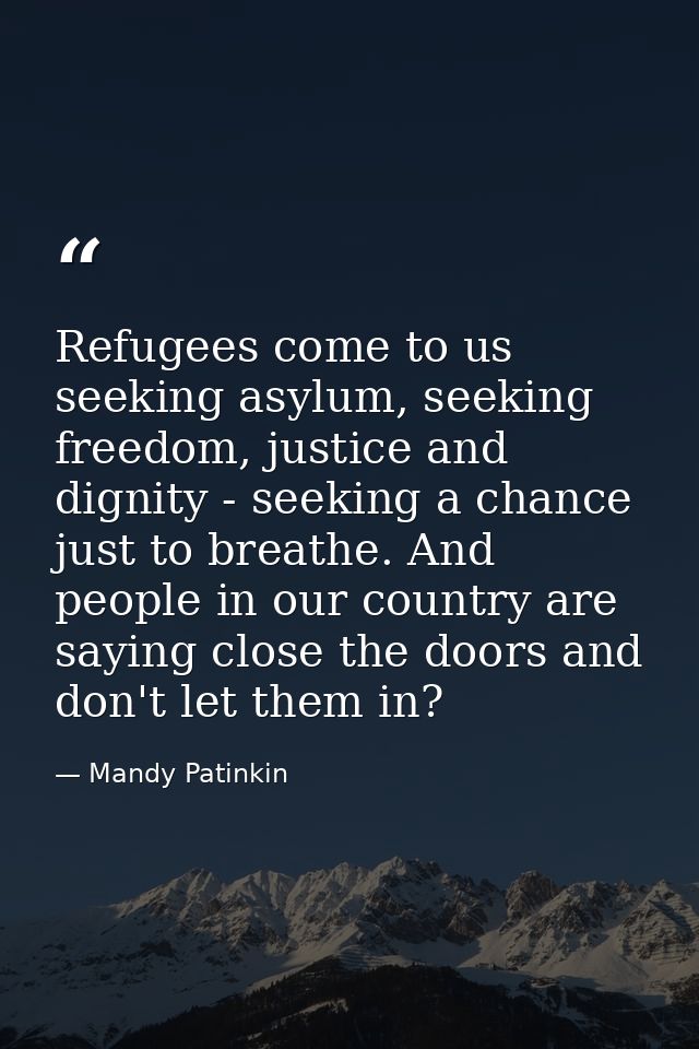 Refugees come to us seeking asylum, seeking freedom, justice and dignity - seeking a chance just to breathe. And people  — Mandy Patinkin