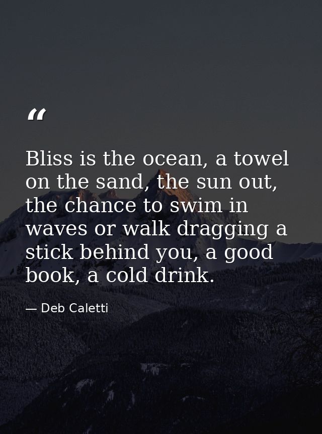 Bliss is the ocean, a towel on the sand, the sun out, the chance to swim in waves or walk dragging a stick behind you, a — Deb Caletti