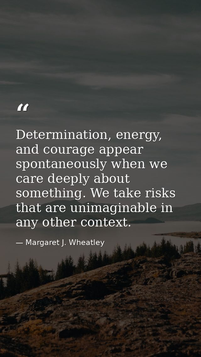 Determination, energy, and courage appear spontaneously when we care deeply about something. We take risks that are unim — Margaret J. Wheatley