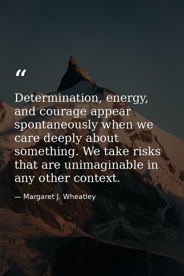 Determination, energy, and courage appear spontaneously when we care deeply about something. We take risks that are unim — Margaret J. Wheatley