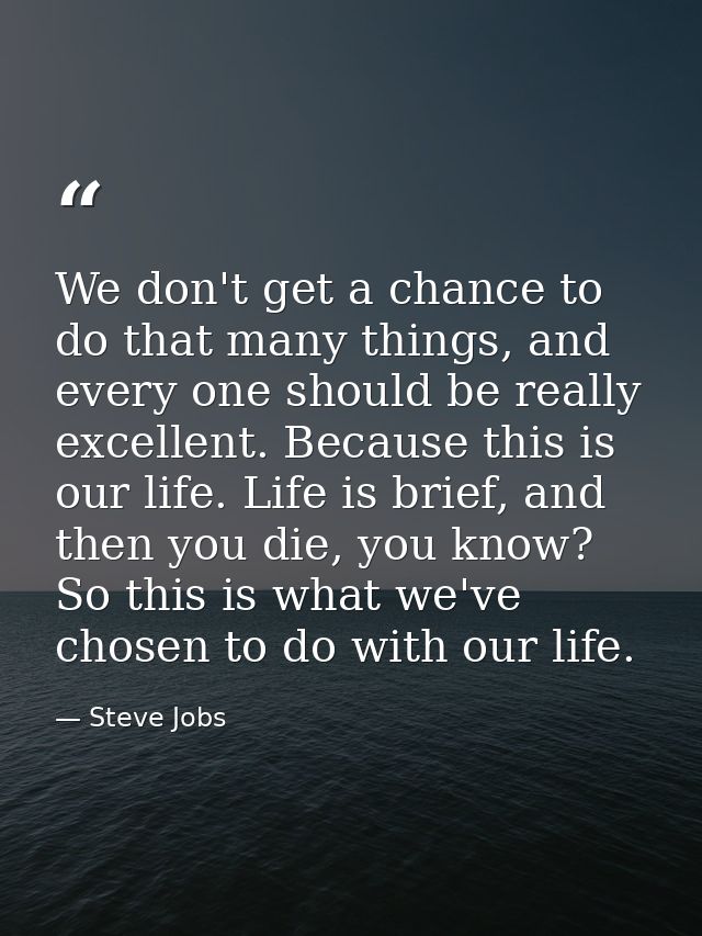 We don't get a chance to do that many things, and every one should be really excellent. Because this is our life. Life i — Steve Jobs