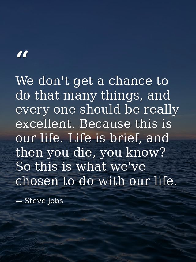 We don't get a chance to do that many things, and every one should be really excellent. Because this is our life. Life i — Steve Jobs