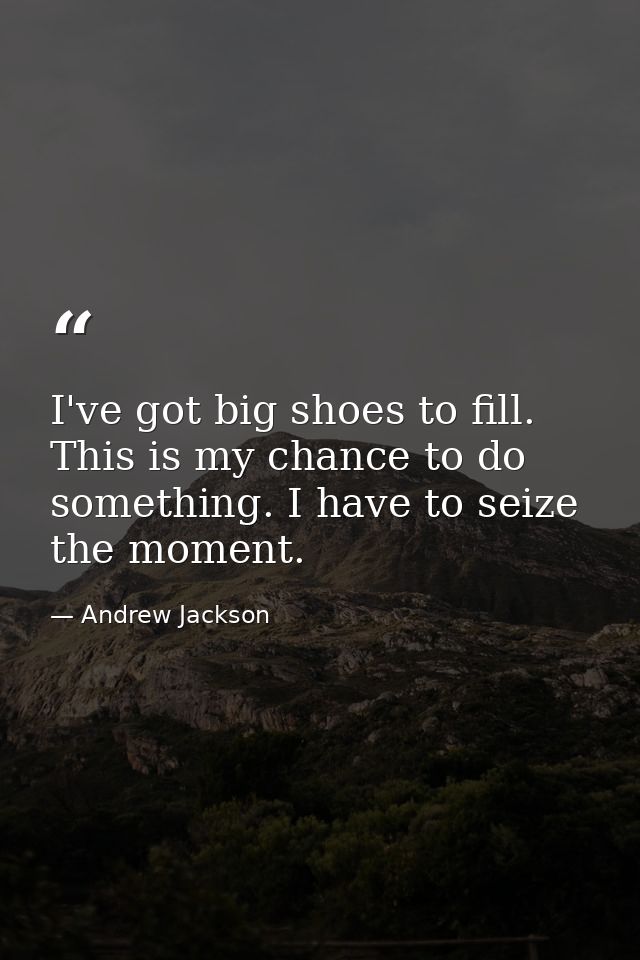 I've got big shoes to fill. This is my chance to do something. I have to seize the moment. — Andrew Jackson