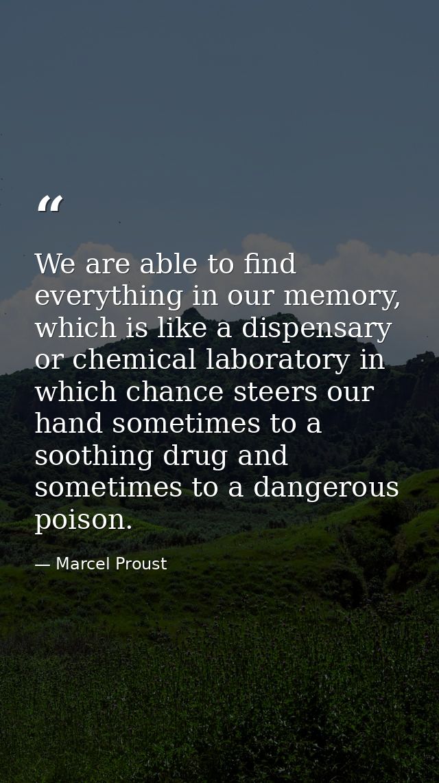 We are able to find everything in our memory, which is like a dispensary or chemical laboratory in which chance steers o — Marcel Proust