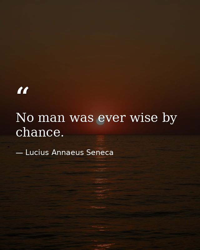 No man was ever wise by chance. — Lucius Annaeus Seneca